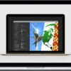 Chris Converse – After Effects & Photoshop for Graphic Design