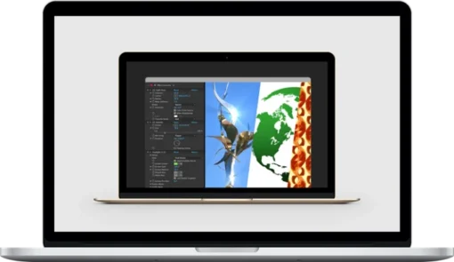 Chris Converse – After Effects & Photoshop for Graphic Design