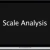 Bruce Arnold – Scale Analysis