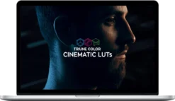 Triune Digital – Cinematic LUTs V1