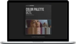 Stefan Ringelschwandtner – Color Palette DCTL
