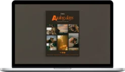 G-Presets – Analog Days