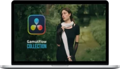 Jacques Crafford – GamutFlow Collection